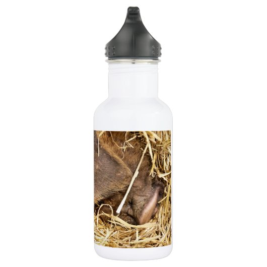 VARKENS WATERFLES (Rechts)