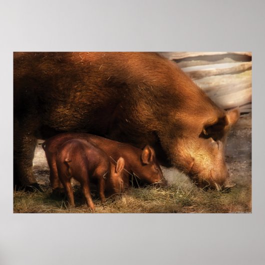 Varkensobligaties Poster (Voorkant)