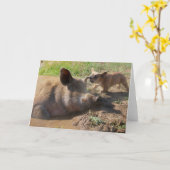 Varkensoor wenskaart kaart (Gele Bloem)