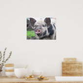 Varkenspaat Poster (Keuken)