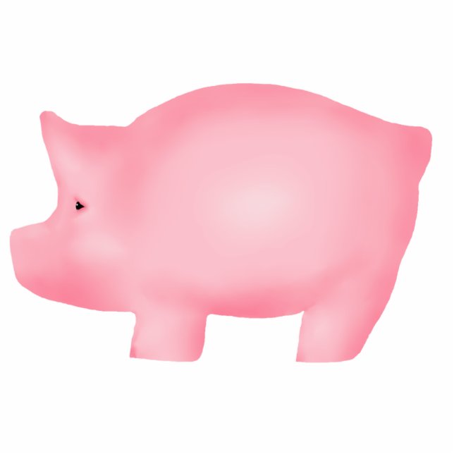 Varkensvormig kunstschildpad Magnet Fotobeeldje Magneet (Voorkant)