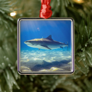Varkenszwemmen Blauwe Oceaan Water Metalen Ornament