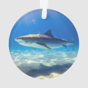 Varkenszwemmen Blauwe Oceaan Water Ornament
