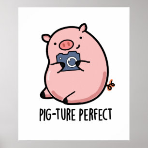 Varkentje Perfecte Grappige Fotografie Varken Stij Poster