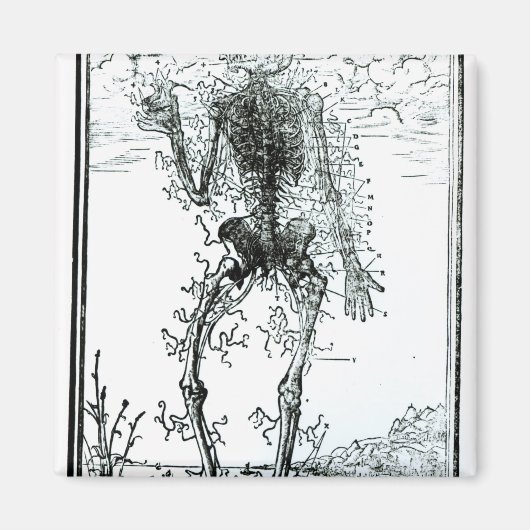 Vasculair Systeem van het Lichaam Magneet (Voorkant)