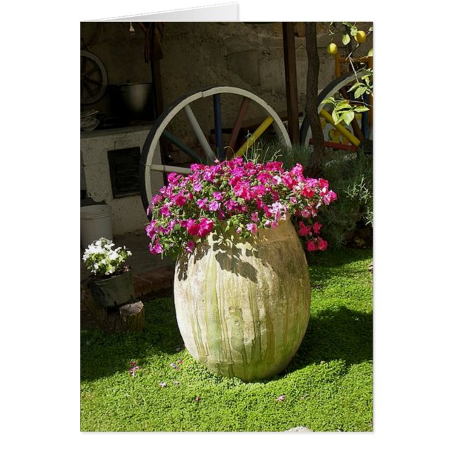 Vase du pays (Devant)