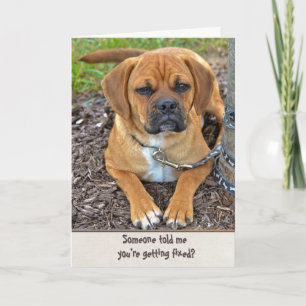 Vasectomie Humor Kaart