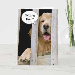 Vasectomie Humor Kaart