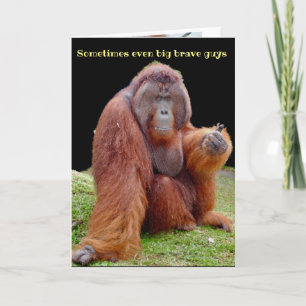 Vasectomie Humor wordt snel beter Kaart