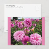Vassio Meggos Dahlia Briefkaart (Voorkant / Achterkant)
