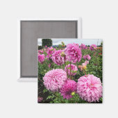 Vassio Meggos Dahlia Magneet (Voorkant / Achterkant)