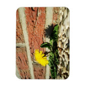 Vastberaden Paardenbloem Magneet (Verticaal)