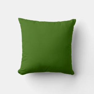 vaste groene kussen