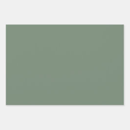 Vaste kleur Minimalistisch onverzadigd olijfgroen Inpakpapier Vel