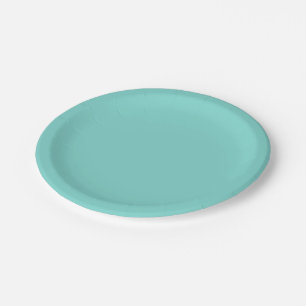 Vaste kleur: Turquoise Aqua Papieren Bordje