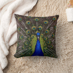 Vaste kleuren Peacock Pillow-Design Kussen