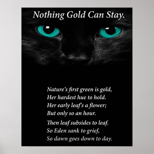 Vaste ogen poster (Voorkant)