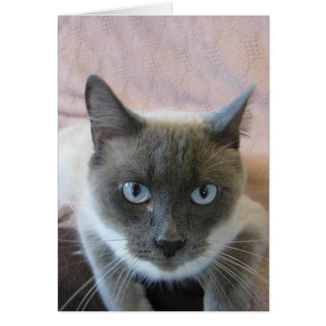 Vaststellen 144 (Voorkant)