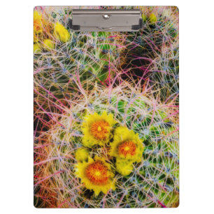Vat cactus close-up, Californië Klembord