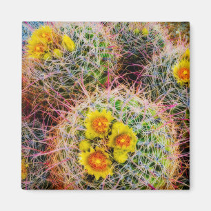 Vat cactus close-up, Californië Magneet