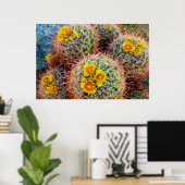 Vat cactus close-up, Californië Poster (Thuiskantoor)