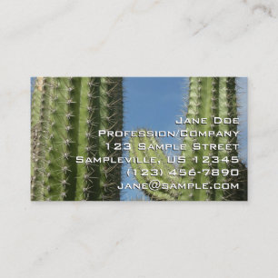 Vat Cactus I Woestijn Foto Visitekaartje