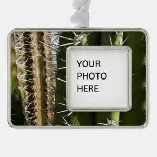 Vat Cactus II Woestijn Natuur Foto Verzilverd Kader Ornament