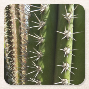 Vat Cactus II Woestijn Natuur Foto Vierkante Kartonnen Onderzetter