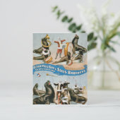 Vaudeville, Circus shows Briefkaart (Staand voorkant)