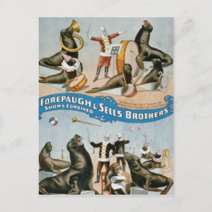 Vaudeville, Circus shows Briefkaart