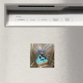 Vault Magneet (Insitu (Vaatwasser))