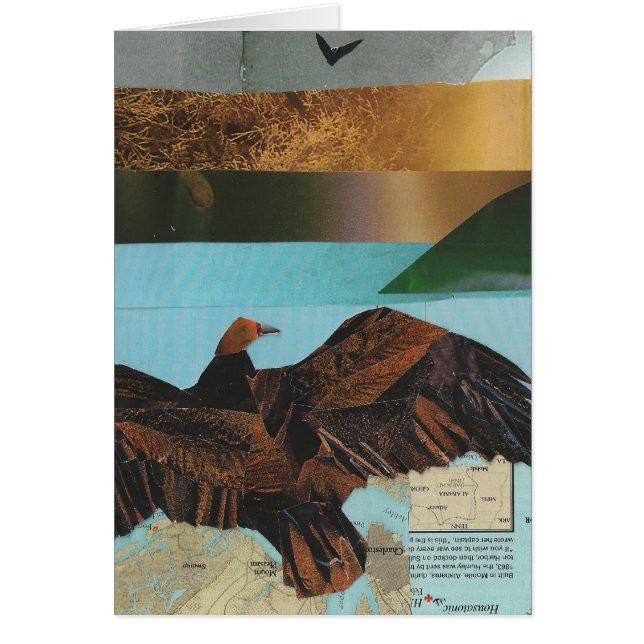 Vautour de Turquie (Devant)