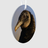 vautour moine (devant)