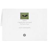 vautour noir de la proie carte photo art (Dos Horizontal)