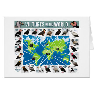 Vautours de la carte du monde