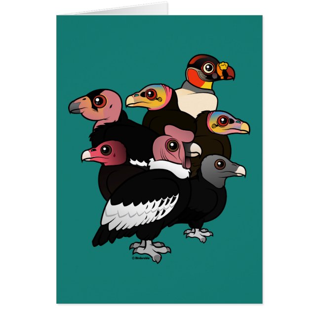 Vautours du nouveau monde (Devant)