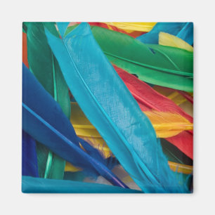 Veatherly Magnet Magneet