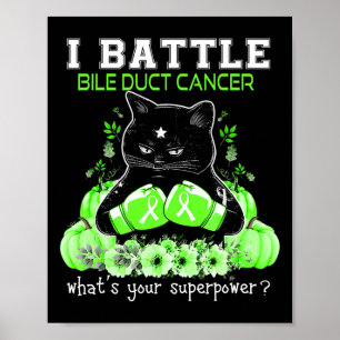 Vecht tegen galwegkanker bewustzijn leuk kat poster