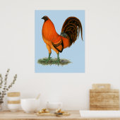 Vechthaankalkoen rode haan poster (Keuken)