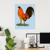 Vechthaankalkoen rode haan poster (Thuiskantoor)