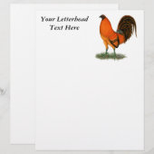 Vechthaankalkoenhaan Ginger (Voorkant / Achterkant)