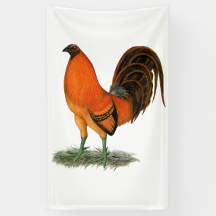 Vechthaankleurige gemberrode haan spandoek