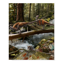 Vectidromeus Paar Print