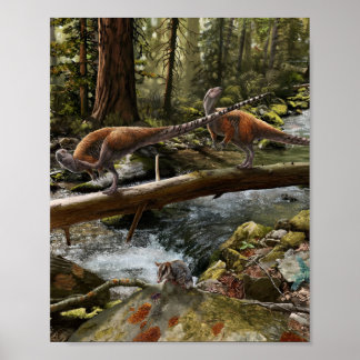 Vectidromeus Paar Print