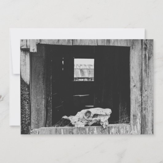 veeboerderij feestdagenkaart (Voorkant)