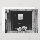 veeboerderij feestdagenkaart (Voorkant / Achterkant)