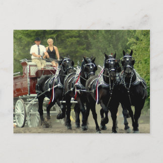veehouder via show van het trekpaard briefkaart