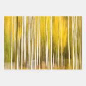 Veel Aspen-bomen Inpakpapier Vel (Voorkant 3)