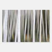Veel Aspen-bomen Inpakpapier Vel (Voorkant 2)