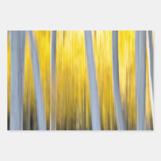 Veel Aspen-bomen Inpakpapier Vel (Voorkant)